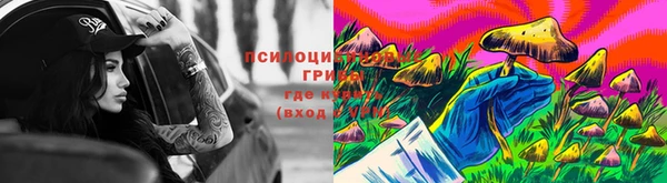 дмт Горно-Алтайск