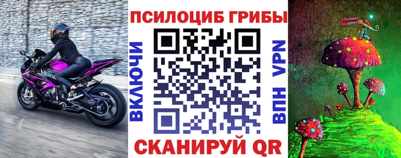 Галлюциногенные грибы GOLDEN TEACHER  Купить закладки  Волосово 