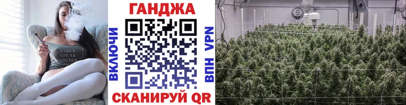 Купить  Волосово  Марихуана план 
